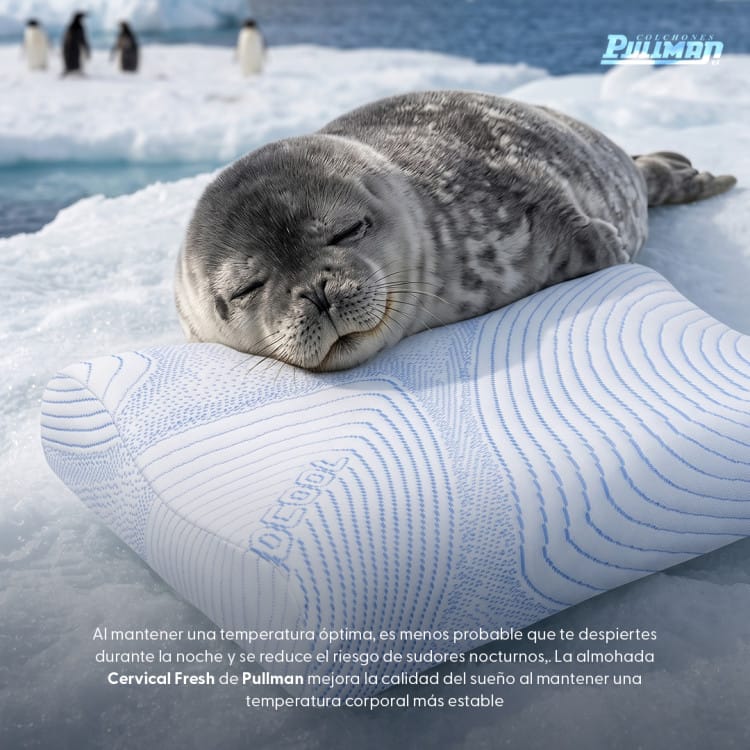 Almohada Cervical Fresh